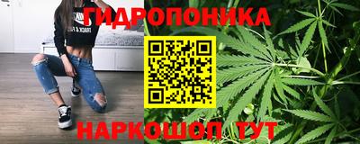 мдпв Ярцево