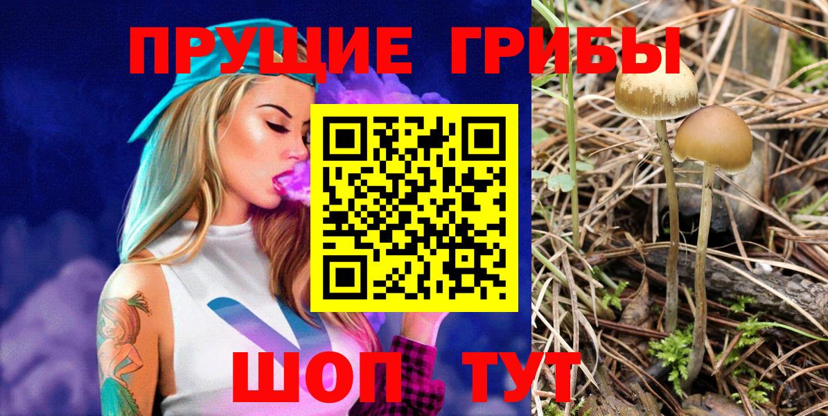 Псилоцибиновые грибы GOLDEN TEACHER Нефтекамск